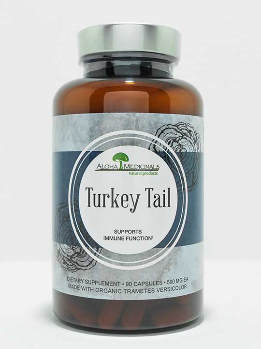 Moj imunitet Turkey-Tail-shop-12
