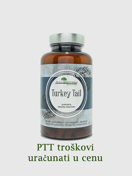 Moj imunitet Turkey-Tail-shop-1